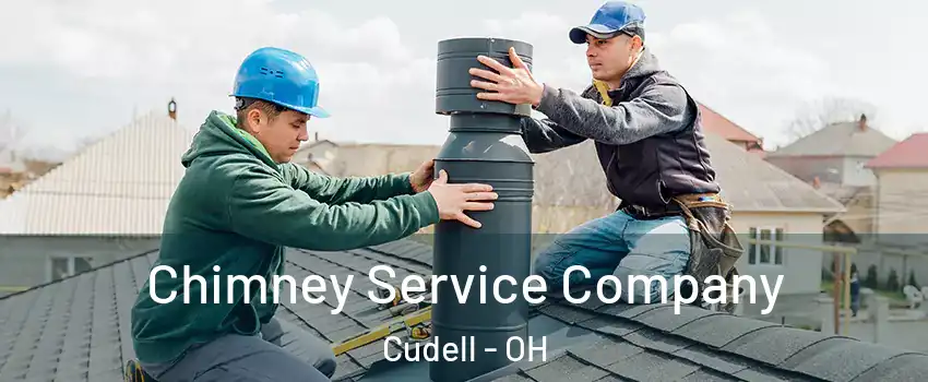 Chimney Service Company Cudell - OH