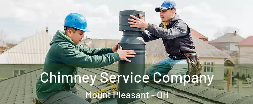 Chimney Service Company Mount Pleasant - OH
