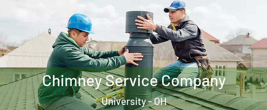 Chimney Service Company University - OH