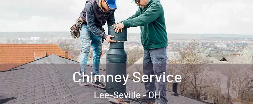 Chimney Service Lee-Seville - OH