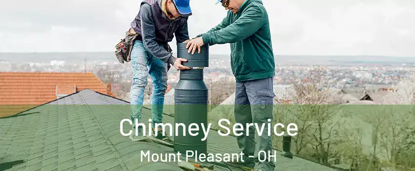Chimney Service Mount Pleasant - OH