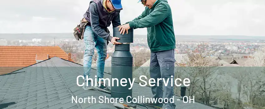 Chimney Service North Shore Collinwood - OH