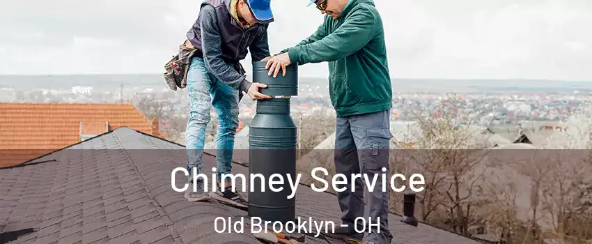 Chimney Service Old Brooklyn - OH