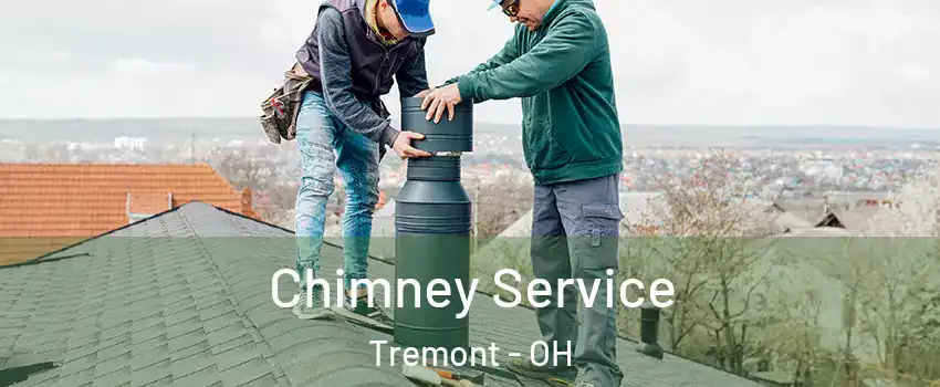 Chimney Service Tremont - OH
