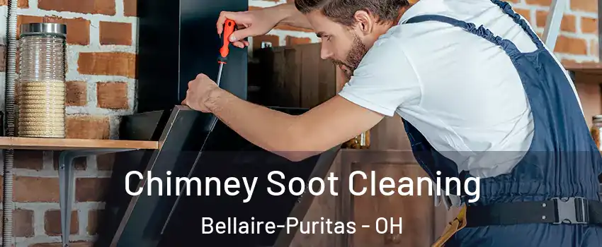 Chimney Soot Cleaning Bellaire-Puritas - OH