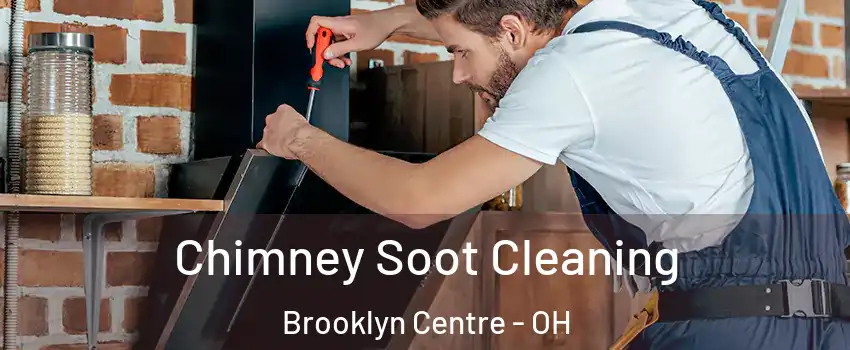 Chimney Soot Cleaning Brooklyn Centre - OH