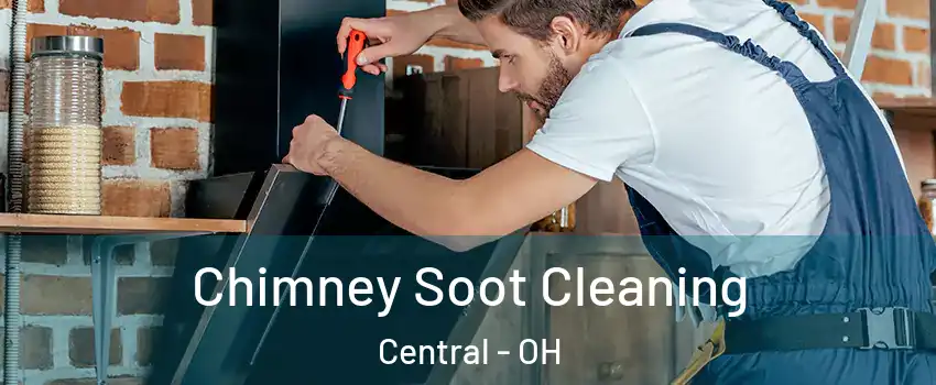 Chimney Soot Cleaning Central - OH