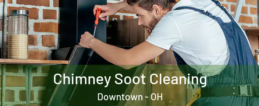 Chimney Soot Cleaning Downtown - OH