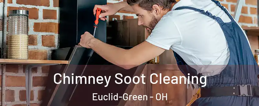 Chimney Soot Cleaning Euclid-Green - OH