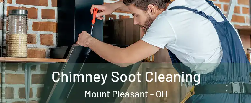 Chimney Soot Cleaning Mount Pleasant - OH