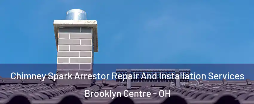 Chimney Spark Arrestor Repair And Installation Services Brooklyn Centre - OH