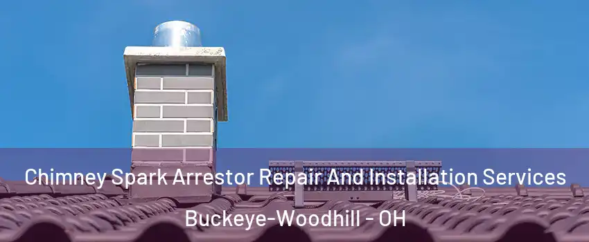 Chimney Spark Arrestor Repair And Installation Services Buckeye-Woodhill - OH