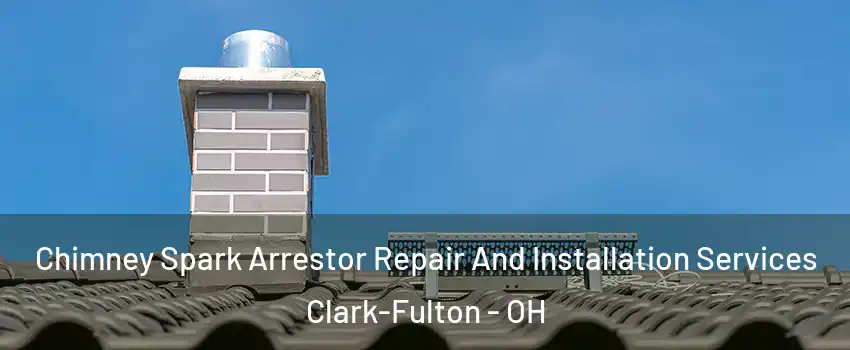 Chimney Spark Arrestor Repair And Installation Services Clark-Fulton - OH