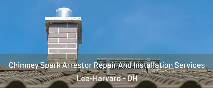 Chimney Spark Arrestor Repair And Installation Services Lee-Harvard - OH