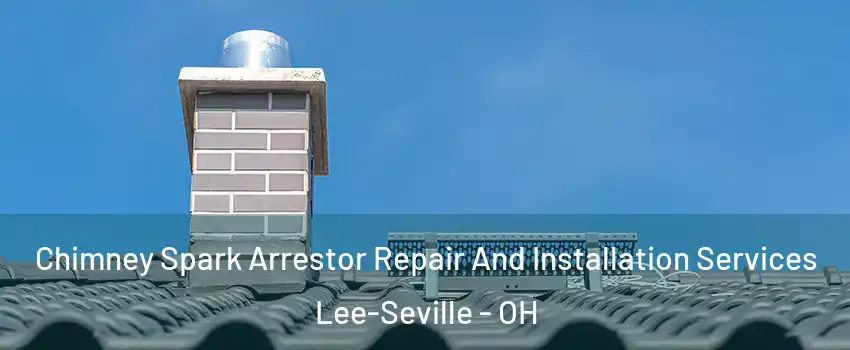 Chimney Spark Arrestor Repair And Installation Services Lee-Seville - OH