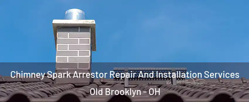 Chimney Spark Arrestor Repair And Installation Services Old Brooklyn - OH