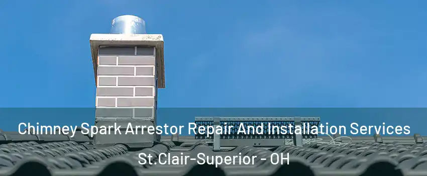 Chimney Spark Arrestor Repair And Installation Services St.Clair-Superior - OH