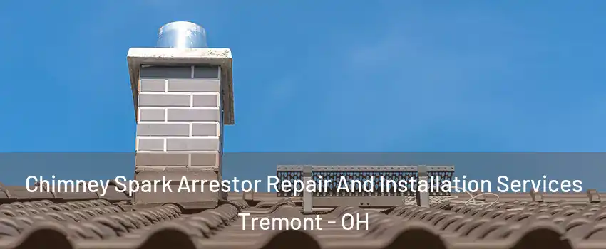 Chimney Spark Arrestor Repair And Installation Services Tremont - OH