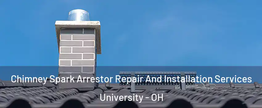 Chimney Spark Arrestor Repair And Installation Services University - OH