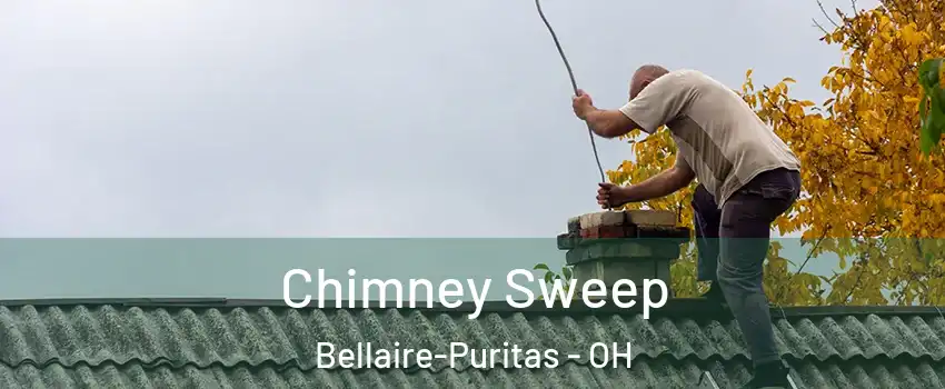 Chimney Sweep Bellaire-Puritas - OH
