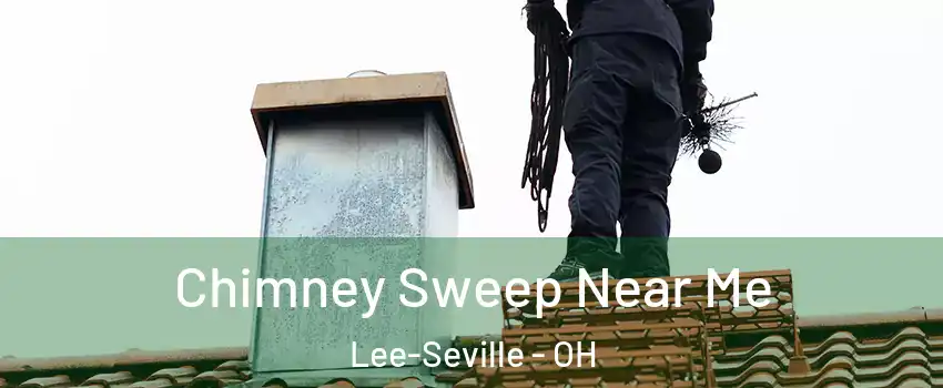 Chimney Sweep Near Me Lee-Seville - OH