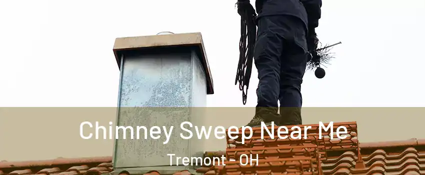 Chimney Sweep Near Me Tremont - OH