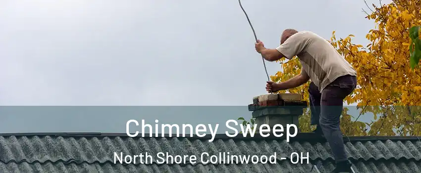 Chimney Sweep North Shore Collinwood - OH