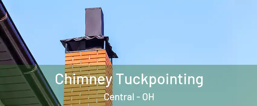Chimney Tuckpointing Central - OH