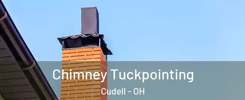 Chimney Tuckpointing Cudell - OH