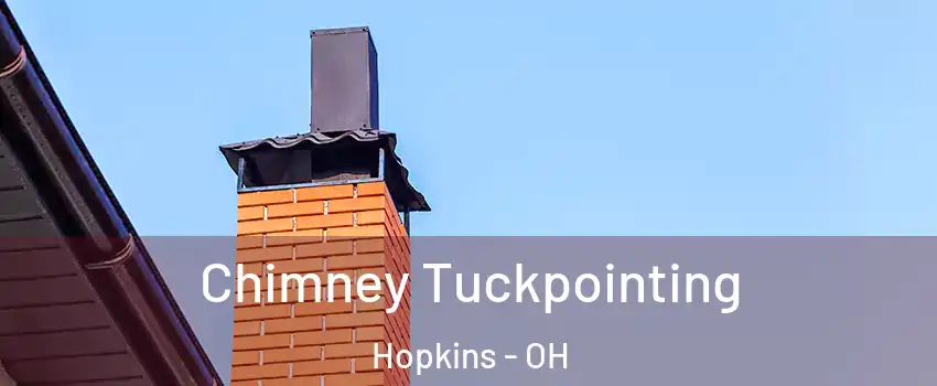 Chimney Tuckpointing Hopkins - OH