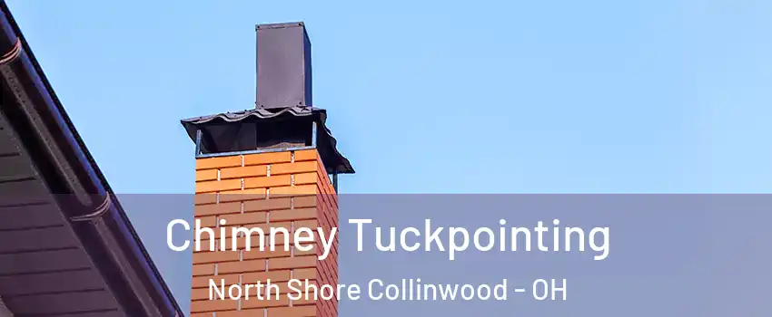 Chimney Tuckpointing North Shore Collinwood - OH