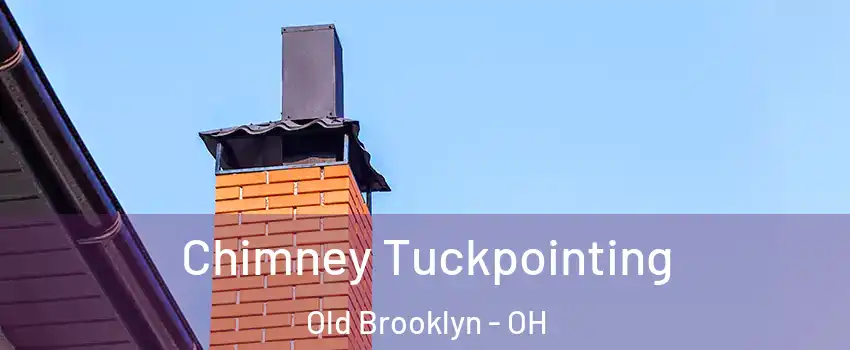 Chimney Tuckpointing Old Brooklyn - OH