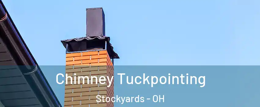 Chimney Tuckpointing Stockyards - OH