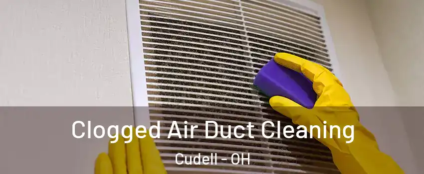 Clogged Air Duct Cleaning Cudell - OH