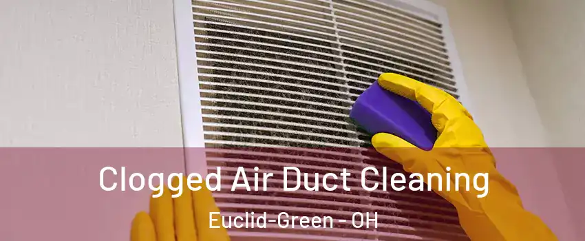 Clogged Air Duct Cleaning Euclid-Green - OH