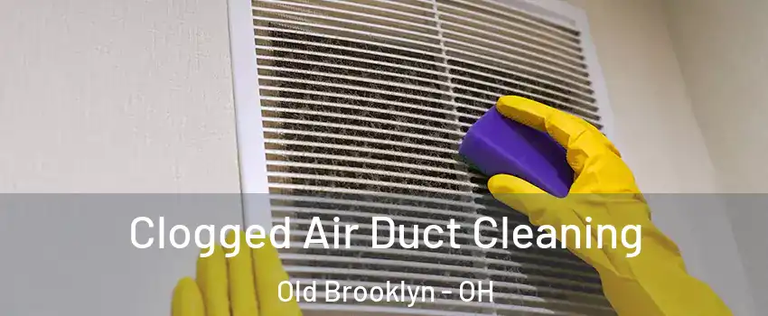 Clogged Air Duct Cleaning Old Brooklyn - OH
