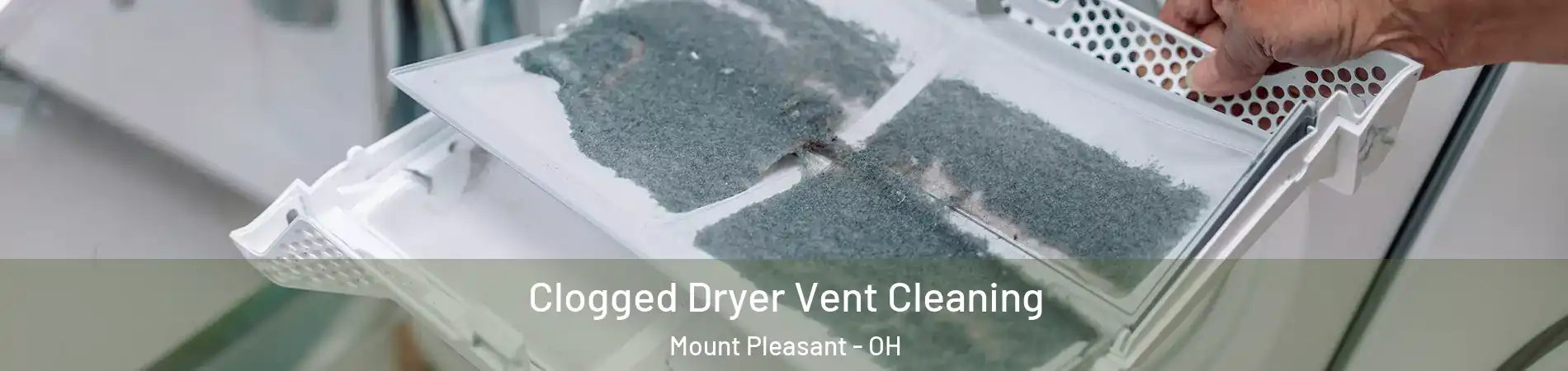 Clogged Dryer Vent Cleaning Mount Pleasant - OH
