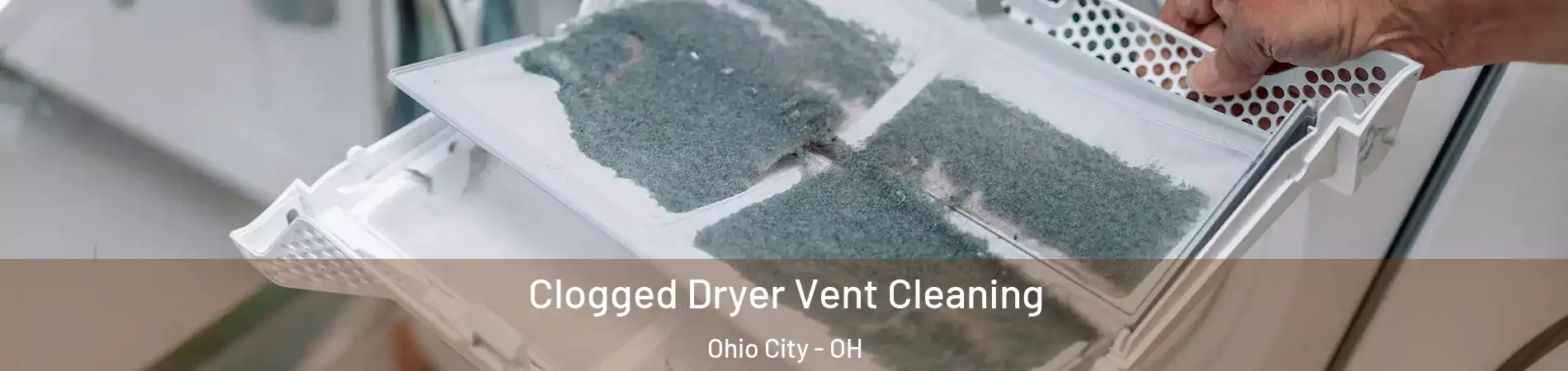 Clogged Dryer Vent Cleaning Ohio City - OH