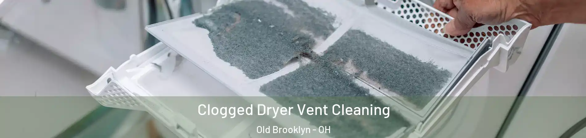 Clogged Dryer Vent Cleaning Old Brooklyn - OH