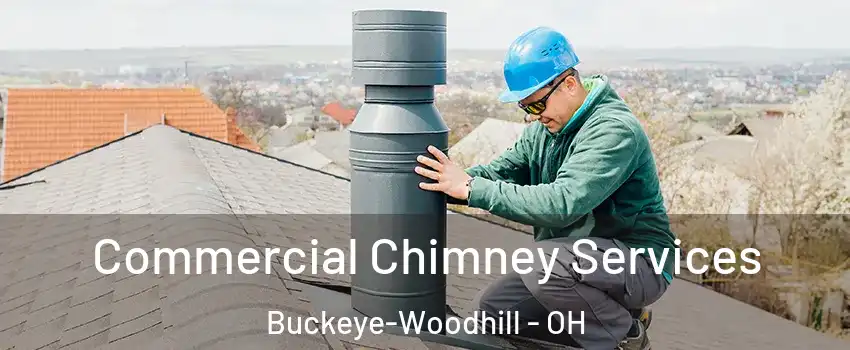 Commercial Chimney Services Buckeye-Woodhill - OH