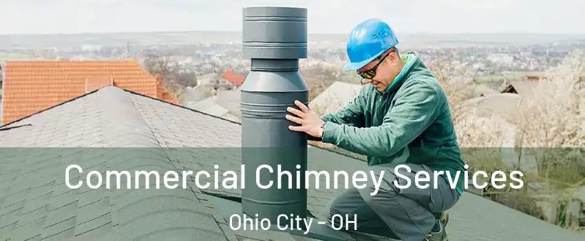 Commercial Chimney Services Ohio City - OH