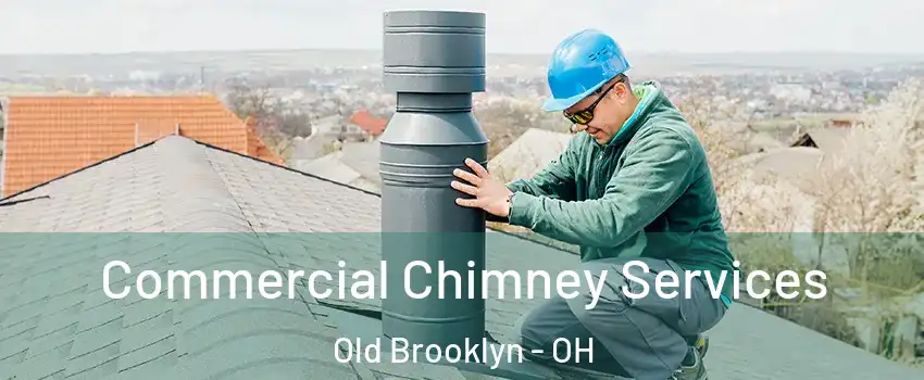 Commercial Chimney Services Old Brooklyn - OH
