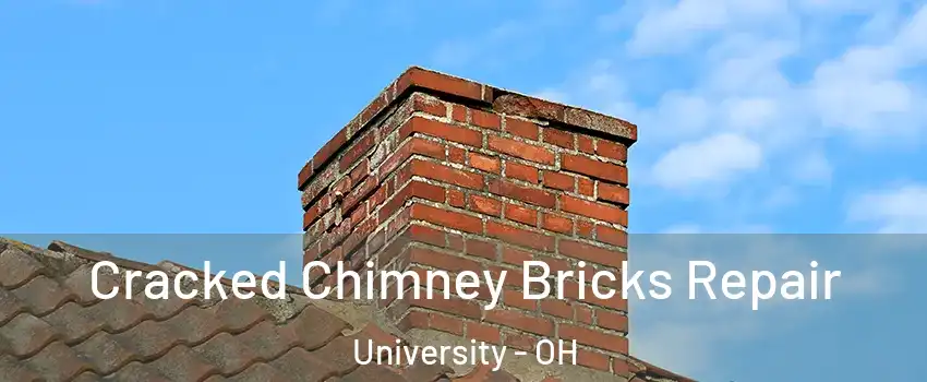 Cracked Chimney Bricks Repair University - OH