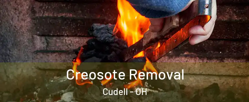 Creosote Removal Cudell - OH