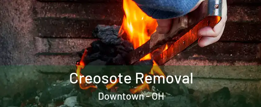 Creosote Removal Downtown - OH