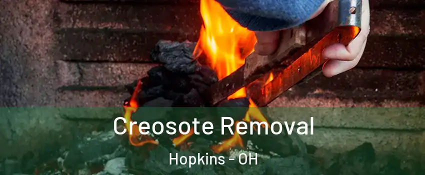 Creosote Removal Hopkins - OH