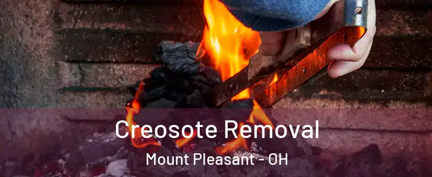 Creosote Removal Mount Pleasant - OH