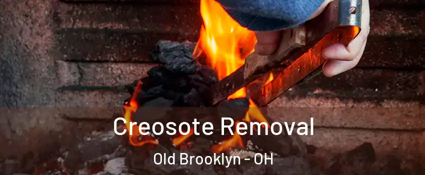 Creosote Removal Old Brooklyn - OH