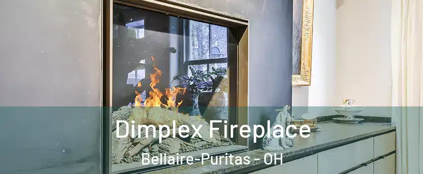 Dimplex Fireplace Bellaire-Puritas - OH