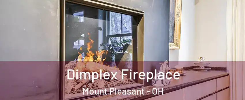 Dimplex Fireplace Mount Pleasant - OH